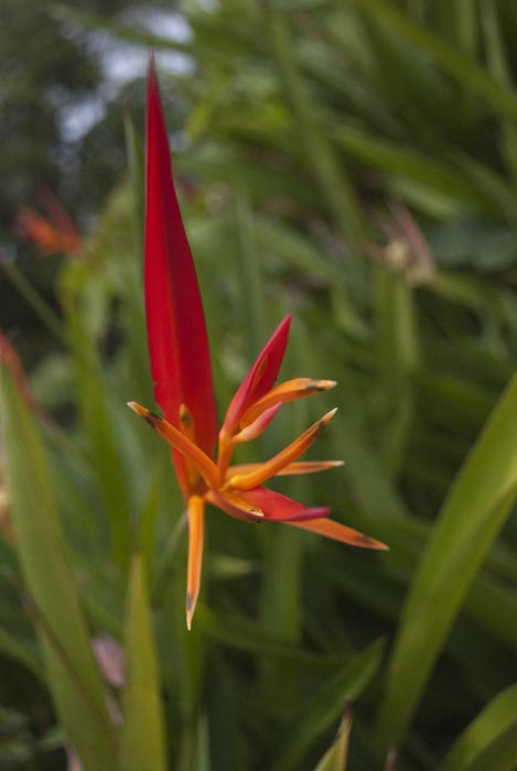 CostaRica0024.jpg
