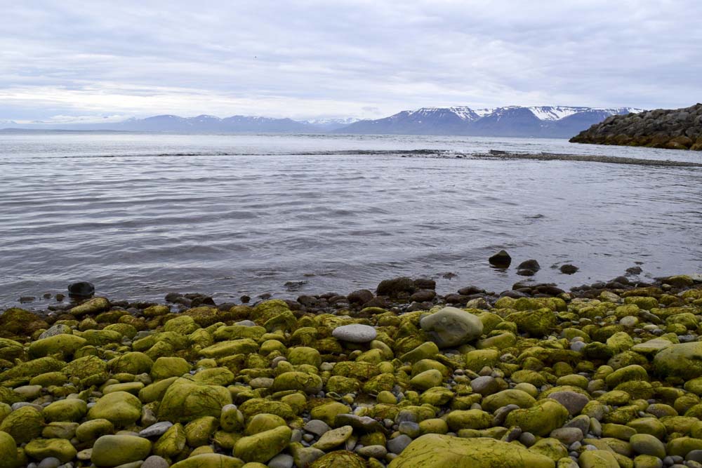 DSC_0095.JPG