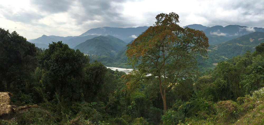 India094.gif