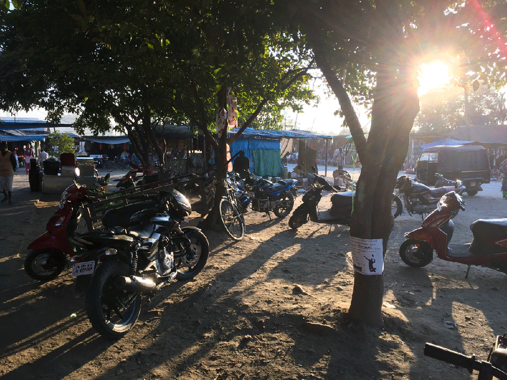 India231.gif
