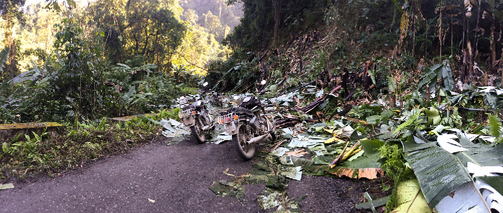 India240.gif