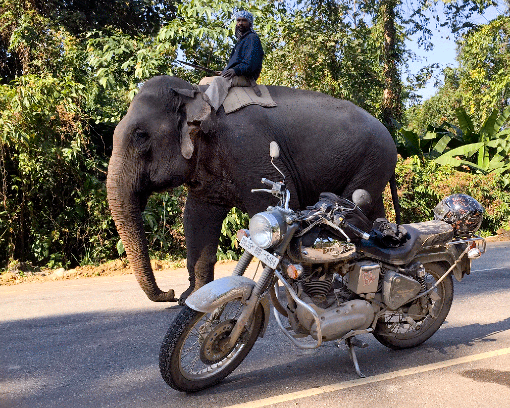 India276.gif