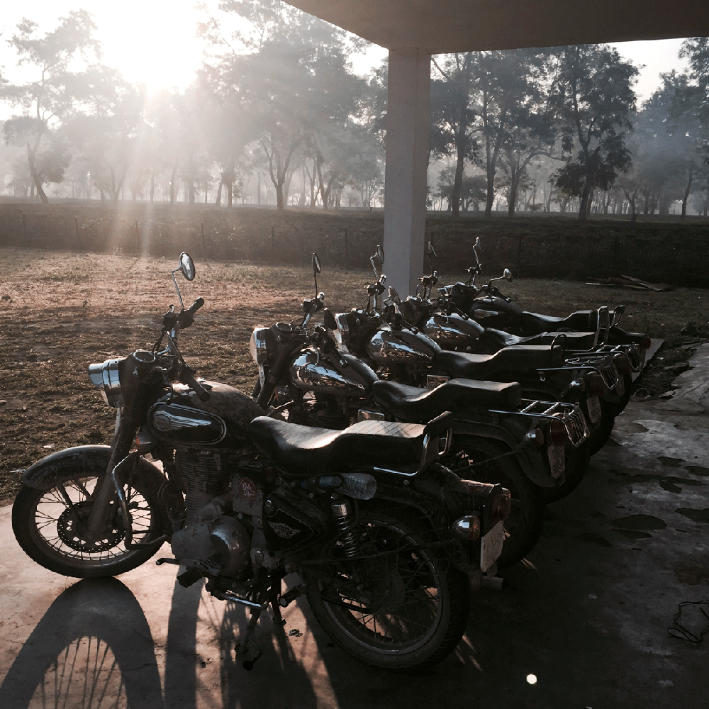 India309.gif