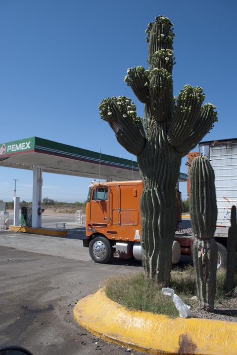 Mexico0026.jpg
