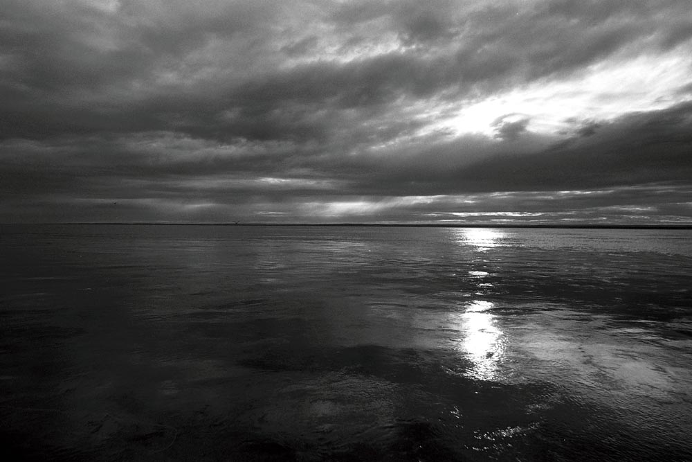 bw0052.jpg
