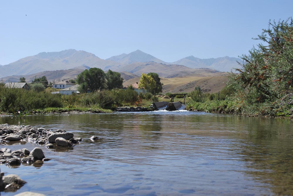 uk2c_0513.jpg