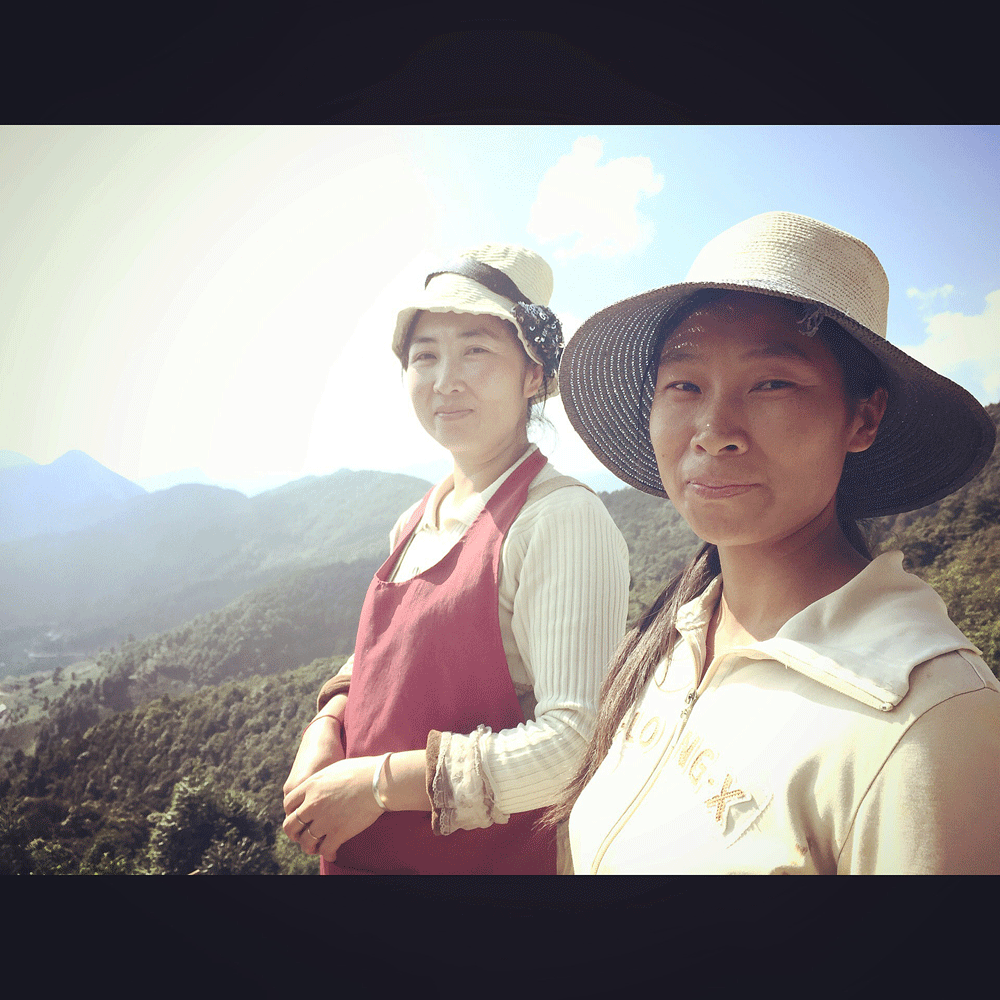 2016_0484.gif