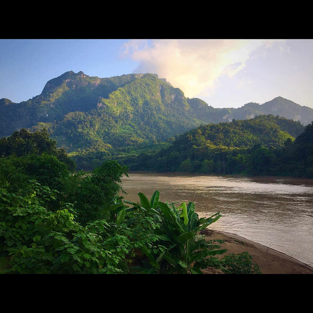 2016_0563.gif